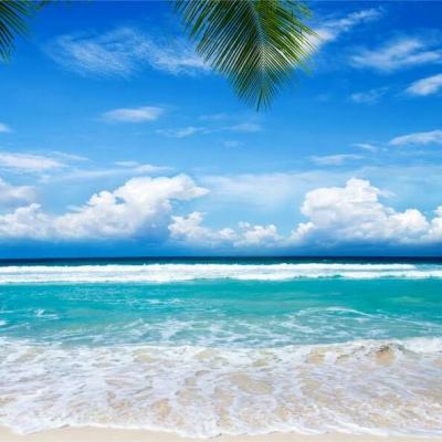 bat365官方网页版截图