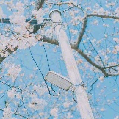 宝威体育官网app下载