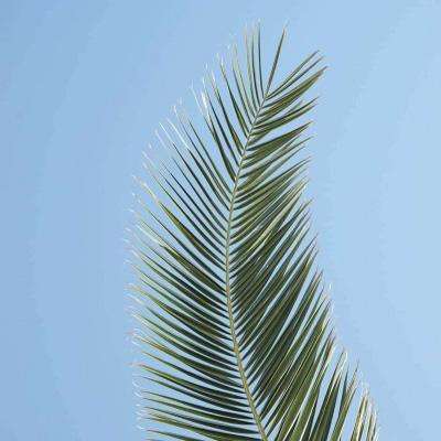 bob·体育综合app下载手机版