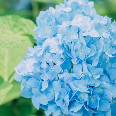 星空体育2024下载