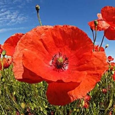 星空体育appapp下载